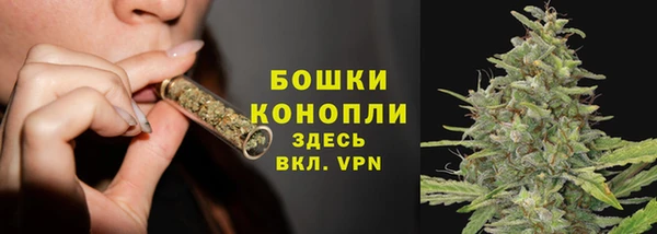 ПСИЛОЦИБИНОВЫЕ ГРИБЫ Абдулино