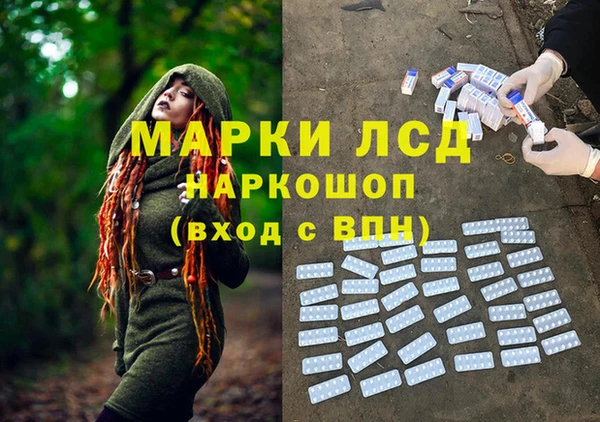 тгк Дмитриев