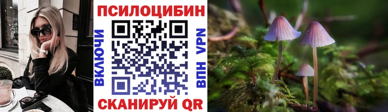 купить   Хабаровск  Галлюциногенные грибы прущие грибы 